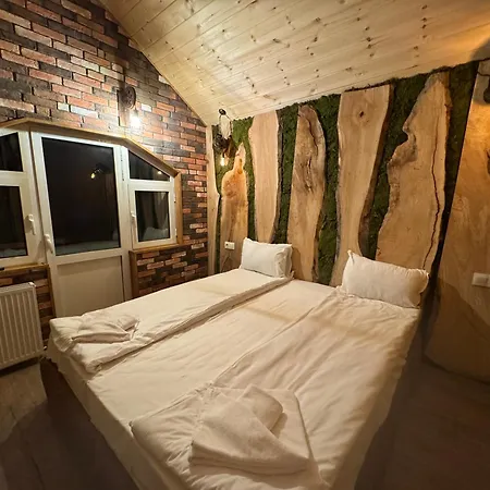 The Forest By Bookvillabg Borovec