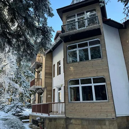 The Forest By Bookvillabg Borovec