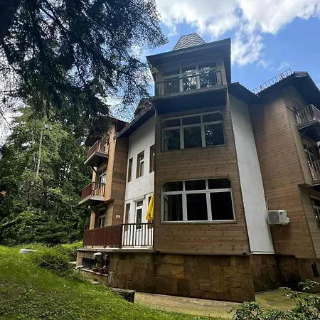 Chalé The Forest By Bookvillabg *