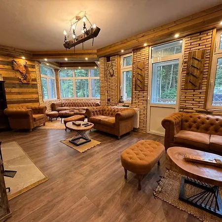 The Forest By Bookvillabg Borovec