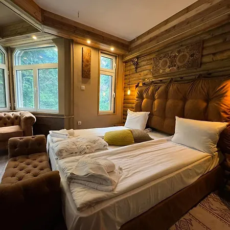 The Forest By Bookvillabg Alpesi faház