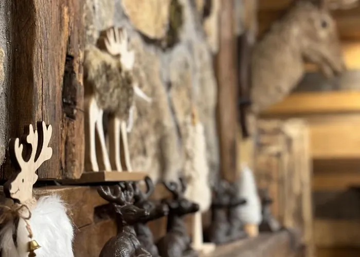 The Forest By Bookvillabg Боровец